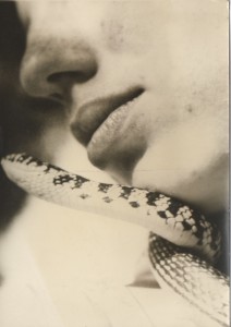 serpente